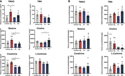 Effect of three oral pathogens on the TMA-TMAO metabolic pathway